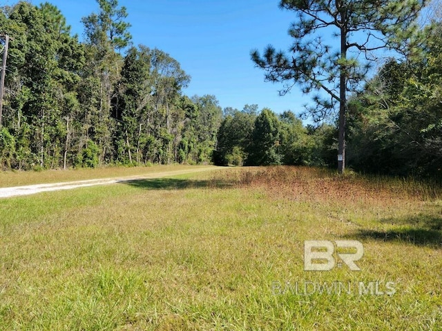 10475 Padgett Switch Rd, Irvington AL, 36544 land for sale