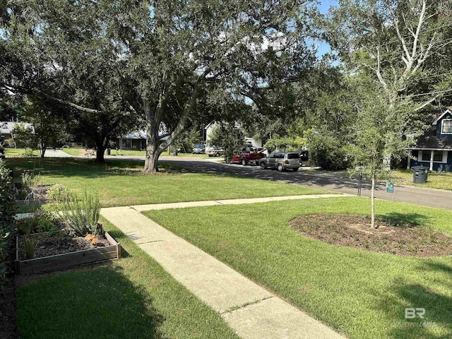 view of home's community with a yard