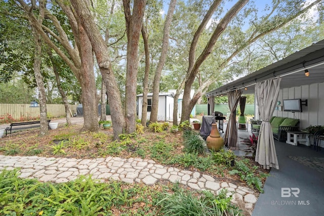 view of yard with a storage shed