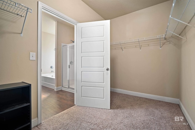 spacious closet with carpet