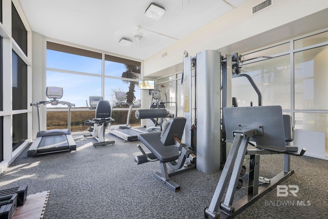 workout area with floor to ceiling windows