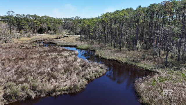 0 Dancing Water Ln, Gulf Shores, AL 36542