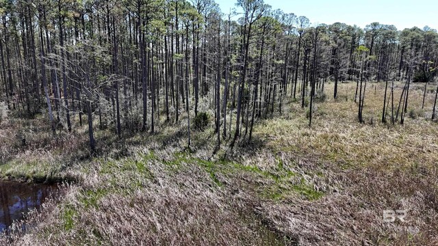 0 Dancing Water Ln, Gulf Shores, AL 36542