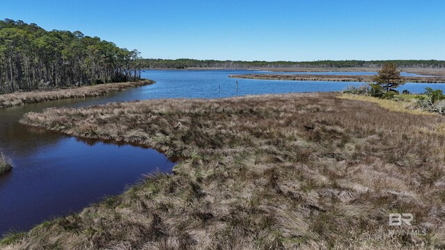 0 Dancing Water Ln, Gulf Shores, AL 36542