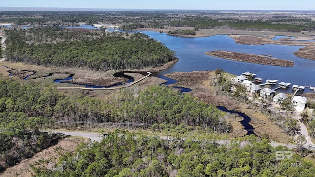 0 Dancing Water Ln, Gulf Shores, AL 36542