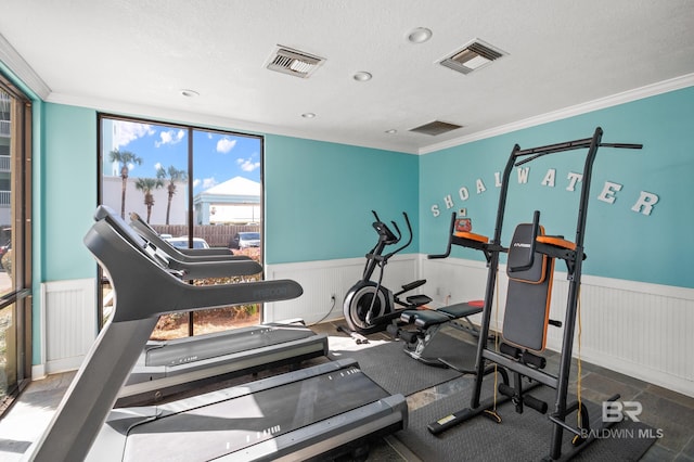 exercise area featuring a wainscoted wall, visible vents, and crown molding