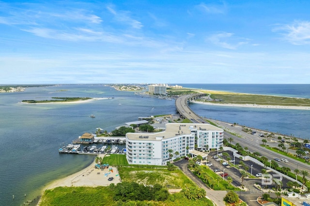 drone / aerial view with a water view and a view of the beach