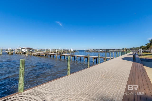 dock area with a water view