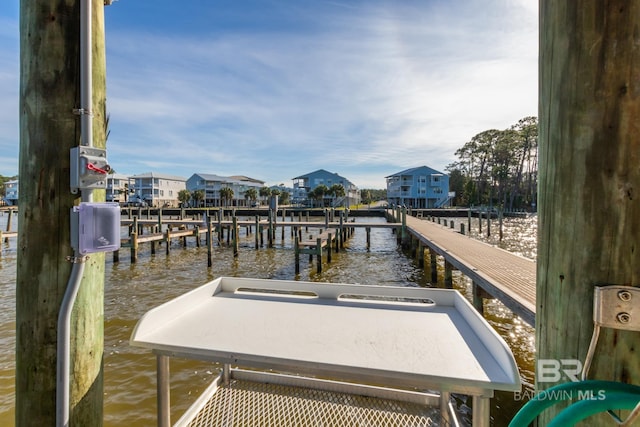 dock area with a water view