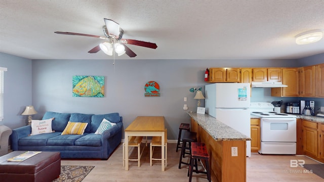 interior space with ceiling fan, a textured ceiling, and light wood-type flooring