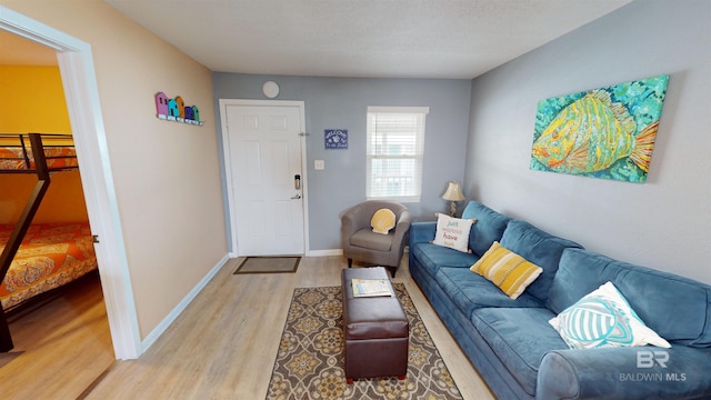 living room with hardwood / wood-style floors