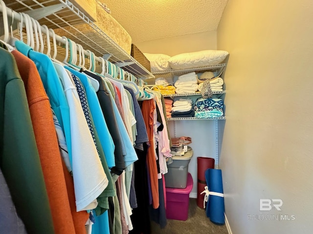 walk in closet featuring carpet flooring