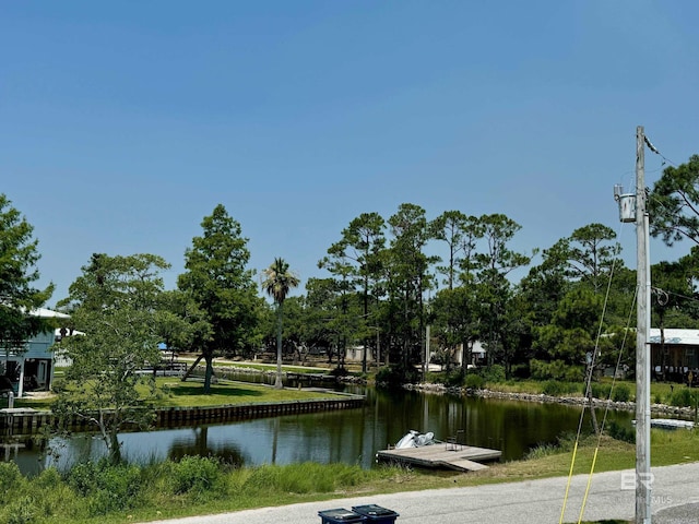 water view featuring a boat dock