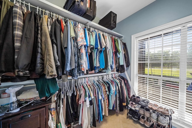 19083 County Road 13, Fairhope, AL 36532 - walk in closet with carpet floors