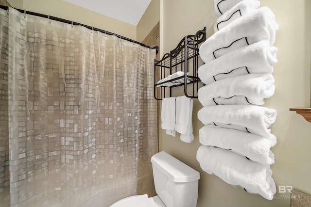 19083 County Road 13, Fairhope, AL 36532 - bathroom with toilet and curtained shower
