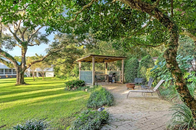 view of yard featuring a patio area