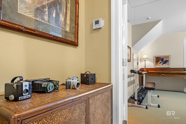 room details featuring carpet floors