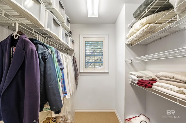 walk in closet with carpet flooring