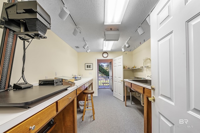 kitchen featuring light colored carpet, sink, a textured ceiling, and track lighting