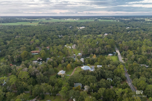 bird's eye view