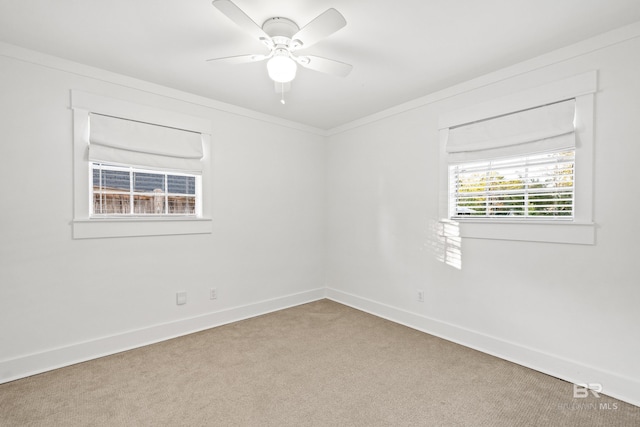 carpeted empty room with crown molding and ceiling fan