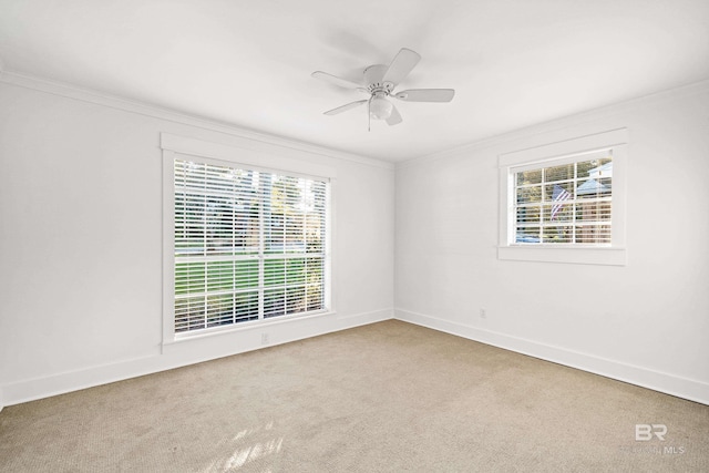 carpeted spare room with ceiling fan and ornamental molding