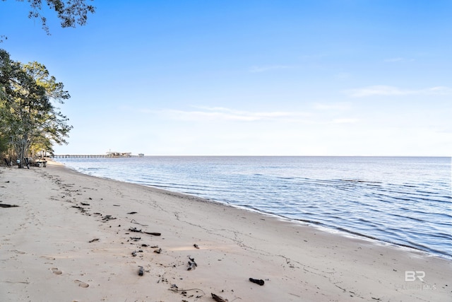 water view featuring a beach view