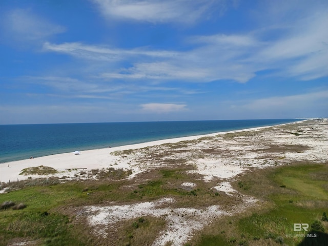 527 Beach Club Trl Unit D710, Gulf Shores, AL 36542 - water view featuring local beach