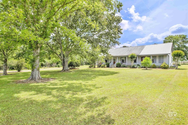 view of front of property featuring a front lawn, metal roof, and covered porch