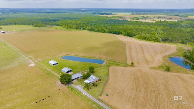 drone / aerial view of a large body of water