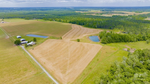 aerial view of a large body of water and a heavily wooded area