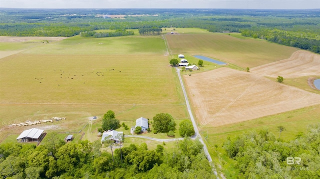 aerial view of sparsely populated area with a large body of water