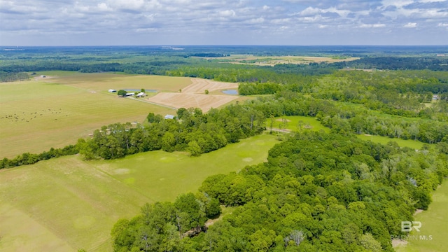 view of rural area
