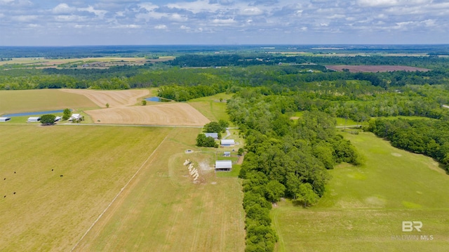 overview of rural landscape