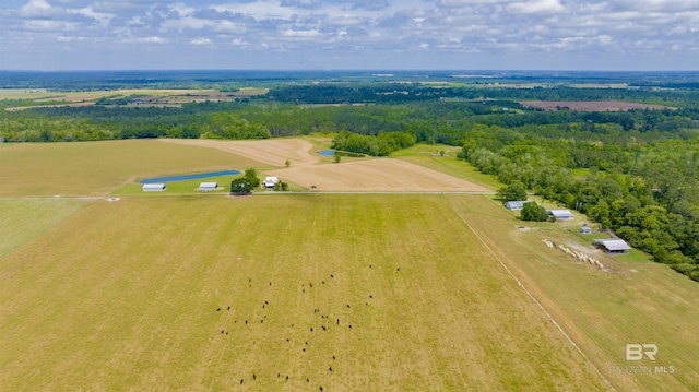view of rural area featuring extensive farmland
