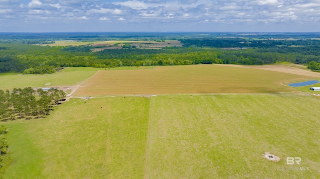 aerial view of a large body of water