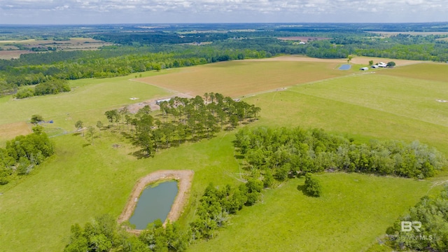 bird's eye view of a nearby body of water