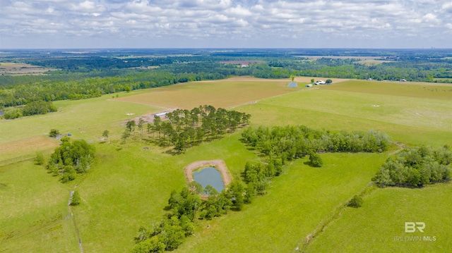 overview of rural landscape