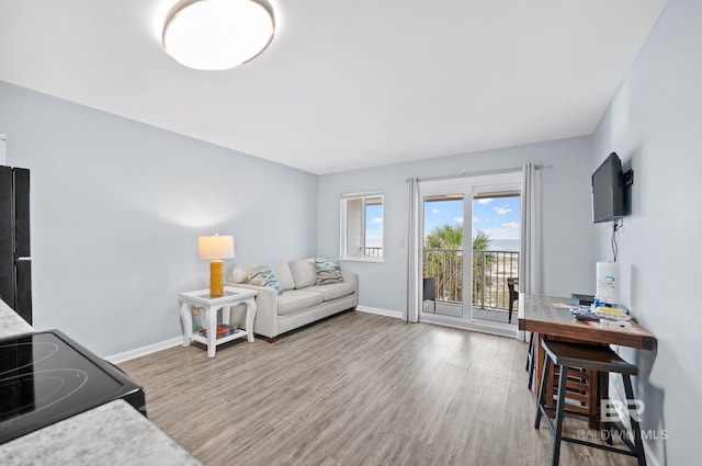 living room featuring light hardwood / wood-style floors