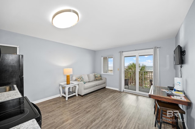 living room featuring hardwood / wood-style flooring