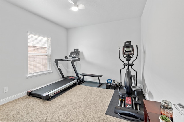 workout area featuring carpet flooring