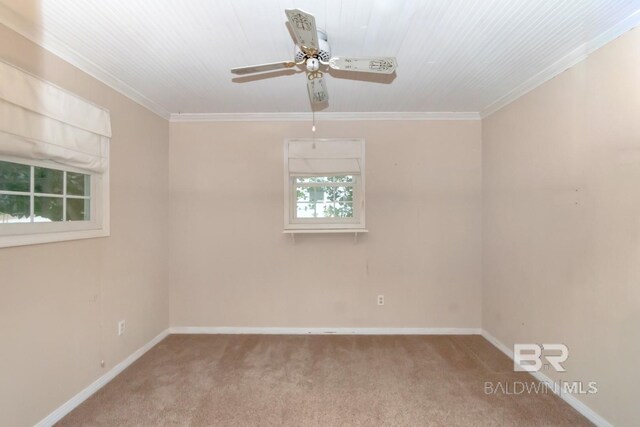 carpeted empty room with ceiling fan and crown molding