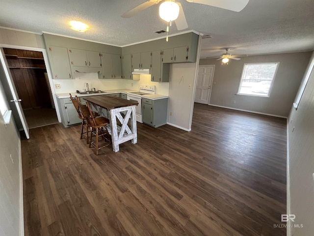 kitchen featuring dark wood-type flooring, a textured ceiling, white range with electric stovetop, ceiling fan, and sink