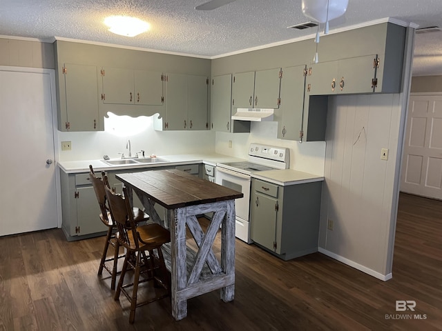 kitchen with sink, dark wood-type flooring, crown molding, and white electric range oven