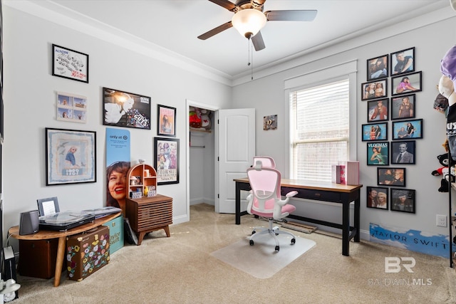 carpeted home office featuring crown molding and ceiling fan