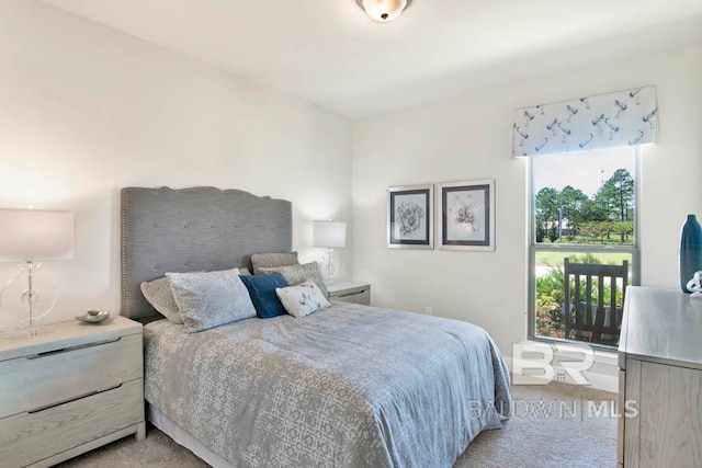 bedroom with light carpet