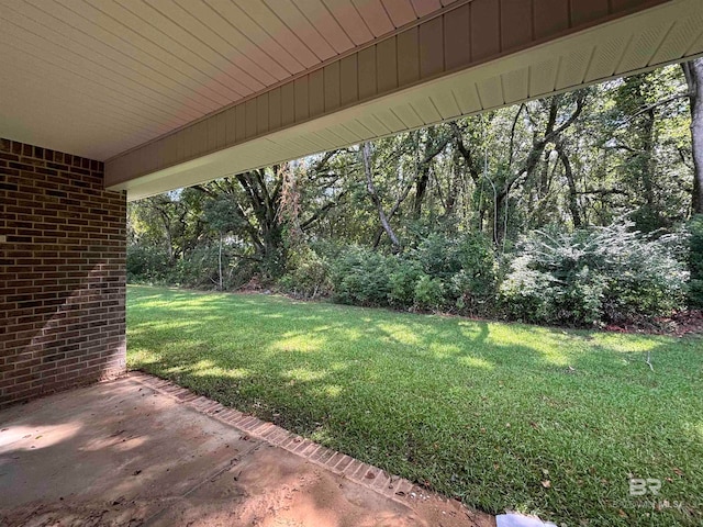 view of yard with a patio