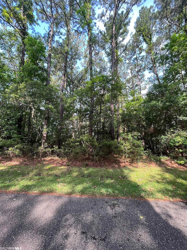 Listing photo 2 for 0 Riverview Nursery Rd, Theodore AL 36582