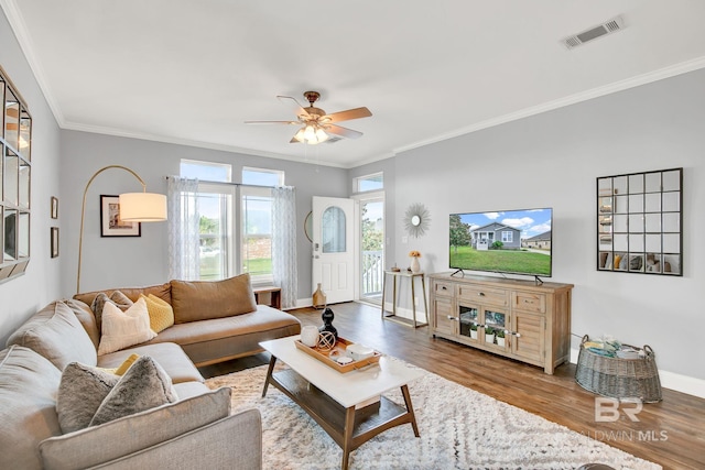 living room featuring ceiling fan, ornamental molding, and hardwood / wood-style floors