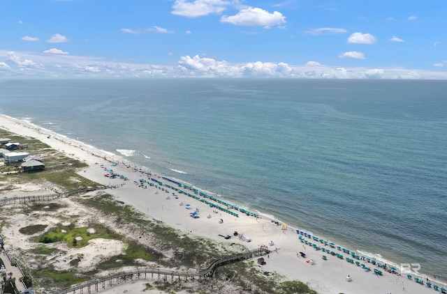 527 Beach Club Trl Unit C110, Gulf Shores, AL 36542 - bird's eye view of unending shoreline